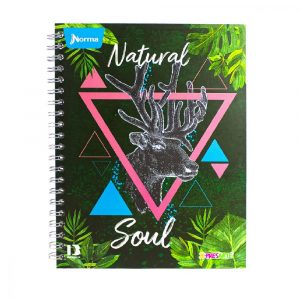 cuaderno norma x-presarte 105