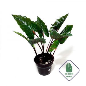 Planta artificial decorativa ar-2