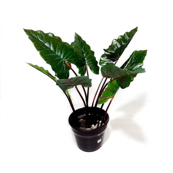 Planta artificial decorativa ar-2 - Imagen 3