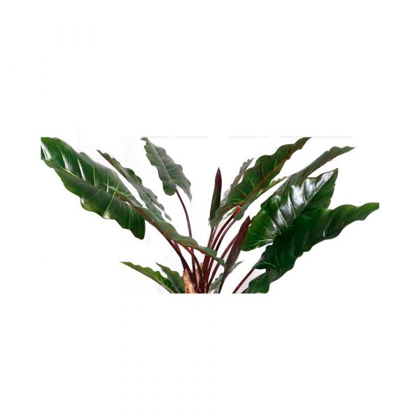 Planta artificial decorativa ar-3 - Imagen 2