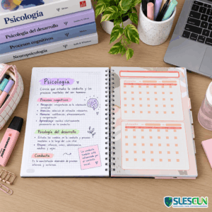 Agenda 7 Materias 105 Lukis Mujer