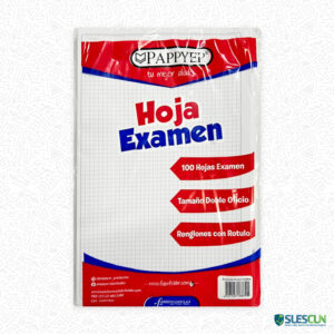 Hoja de Examen Cuadriculada