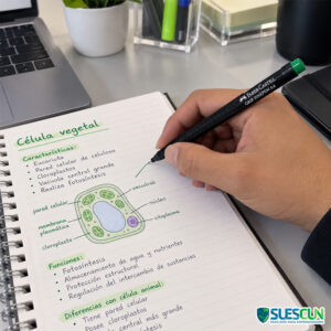 Micropunta Faber Castell Verde