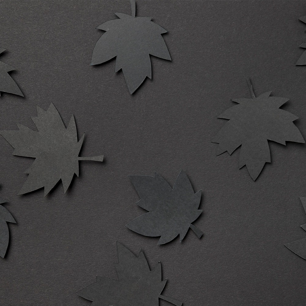 Cartulina Escolar En 1/8 Negra - Imagen 2