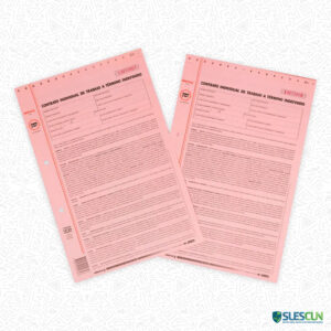 Contrato Individual Término Indefinido 10-01