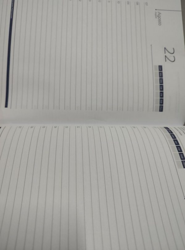 agenda permanente maestro (3)