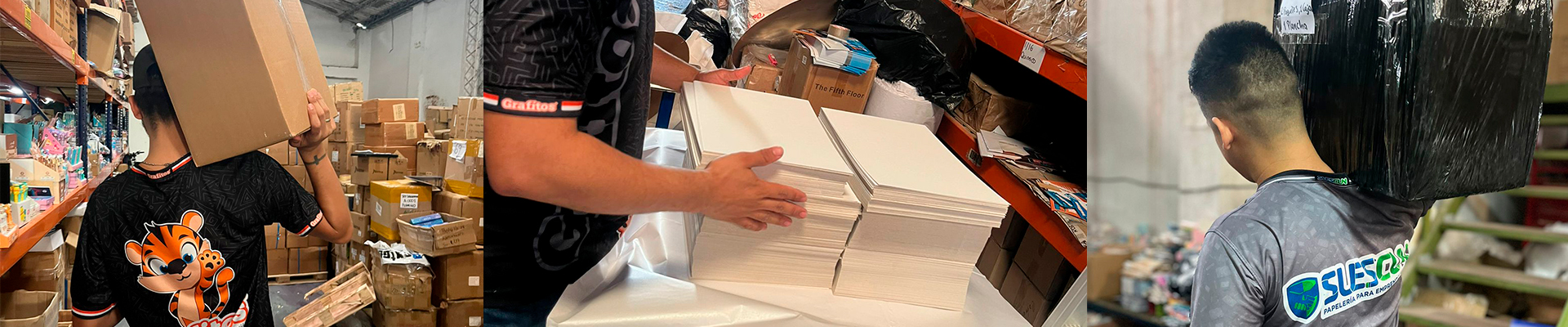 Auxiliar de bodega Auxiliar de bodega