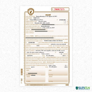 Documento Pagaré 60-01