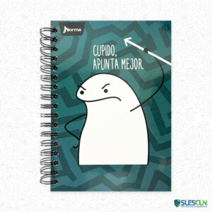 Agenda 95 Memes 7 Materias Norma