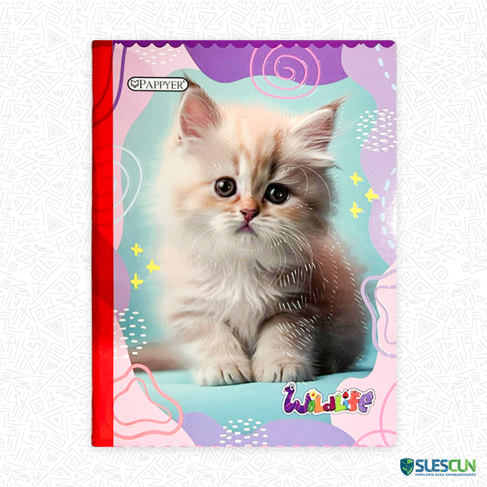 Cuaderno Cosido Cuadros Niña 100H