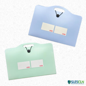 Archivador 13 Bolsillos Económico