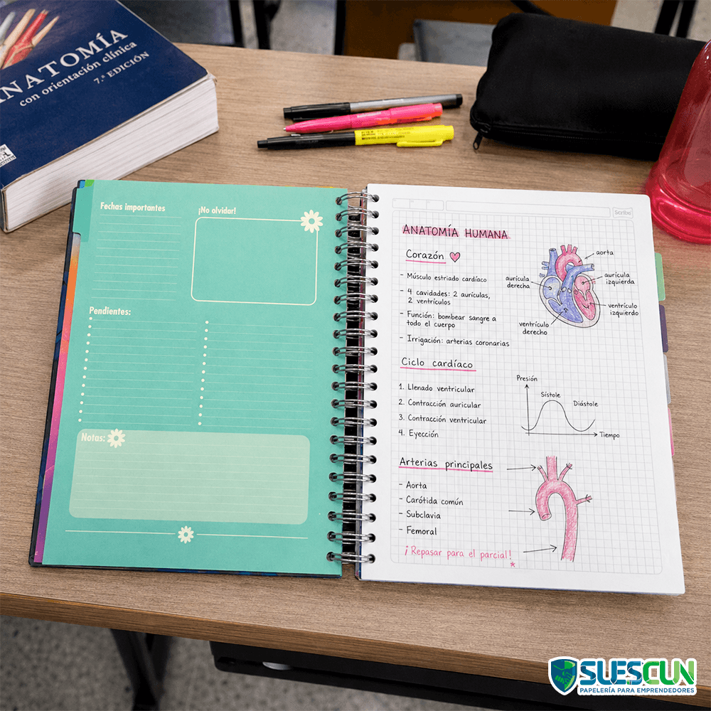 Agenda 5 Materias Femenino Scribe