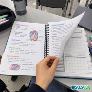 Agenda 5 Materias 105 Lukis Hombre
