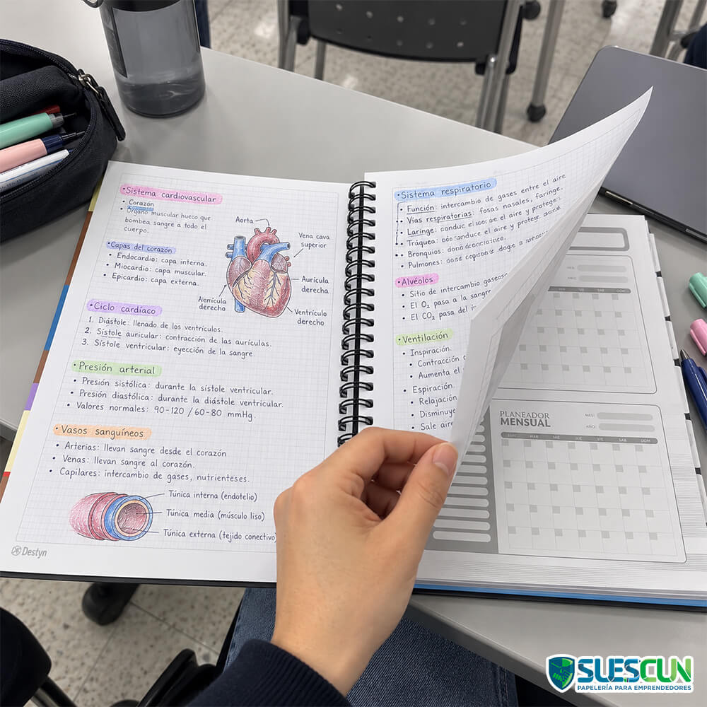 Agenda 5 Materias 105 Lukis Hombre