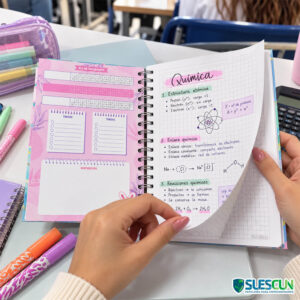 Agenda 7 Materias 95 Mujer Grafitos