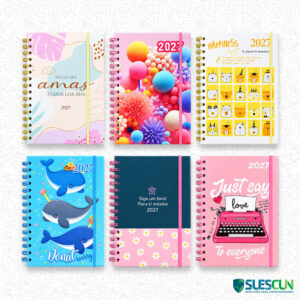 Agenda Kawaii Surtida 2027